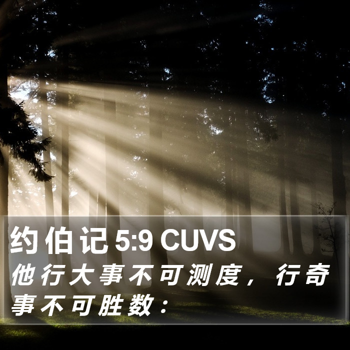 约 伯 记 5:9 CUVS Bible Study