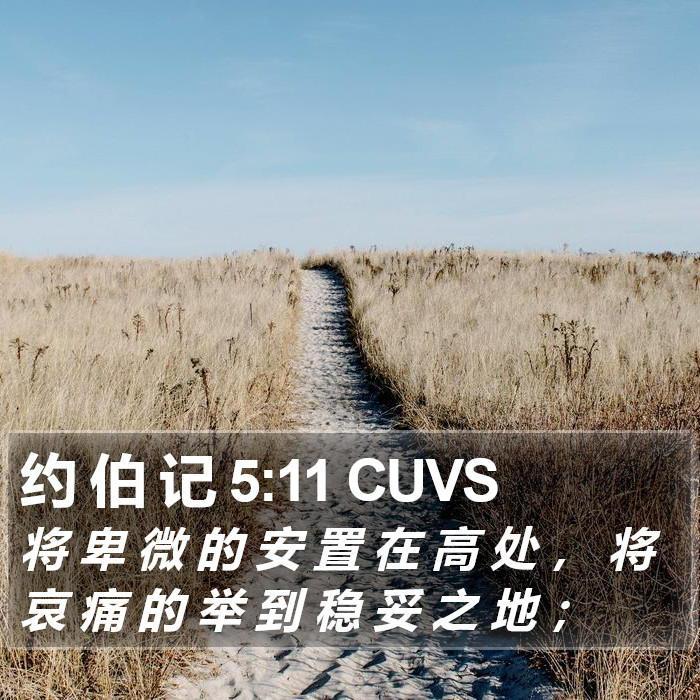 约 伯 记 5:11 CUVS Bible Study