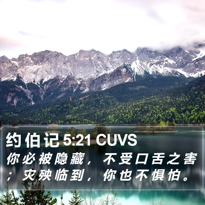 约 伯 记 5:21 CUVS Bible Study