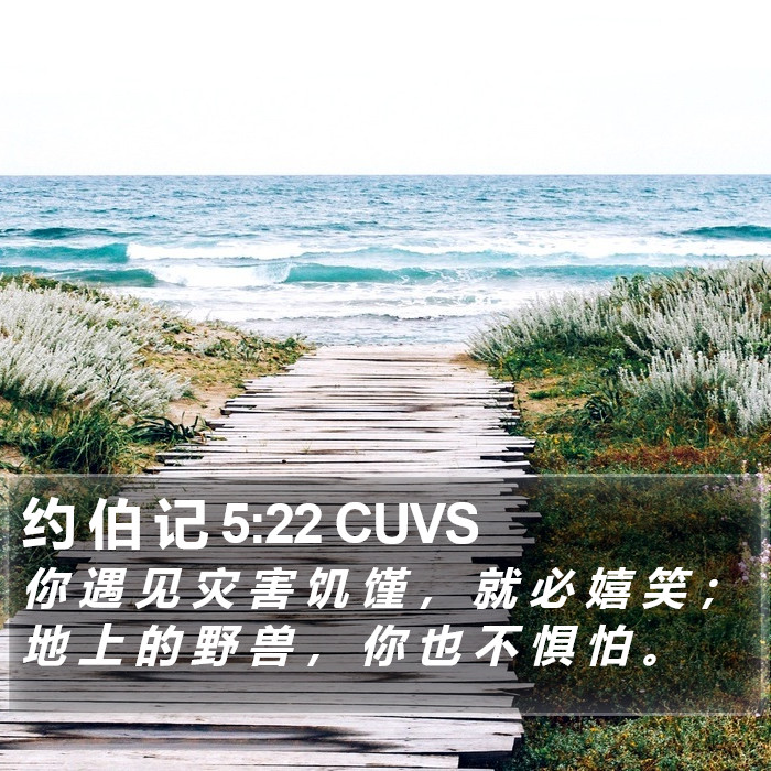 约 伯 记 5:22 CUVS Bible Study