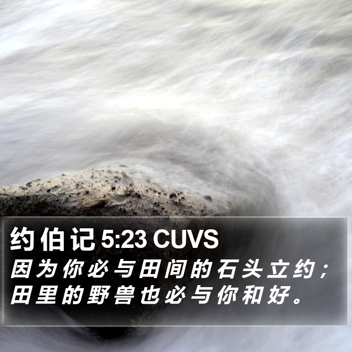 约 伯 记 5:23 CUVS Bible Study