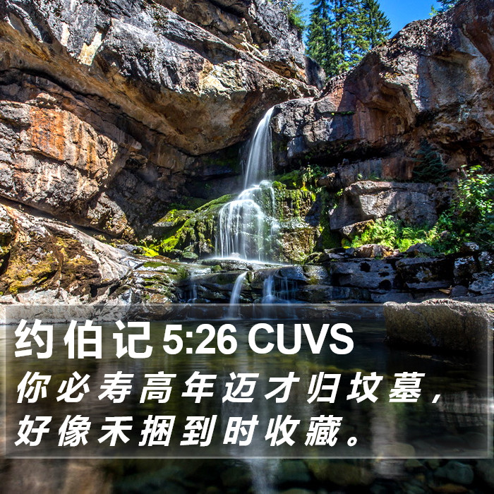 约 伯 记 5:26 CUVS Bible Study