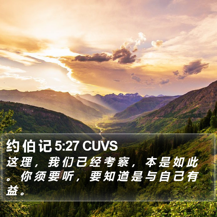 约 伯 记 5:27 CUVS Bible Study