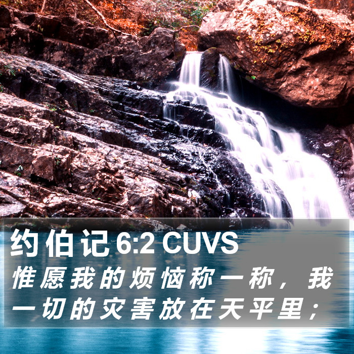 约 伯 记 6:2 CUVS Bible Study