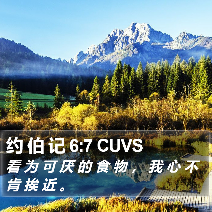 约 伯 记 6:7 CUVS Bible Study