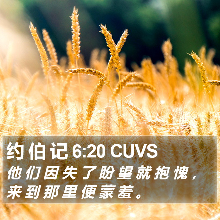 约 伯 记 6:20 CUVS Bible Study
