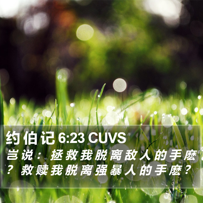 约 伯 记 6:23 CUVS Bible Study