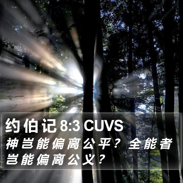 约 伯 记 8:3 CUVS Bible Study