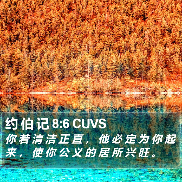 约 伯 记 8:6 CUVS Bible Study
