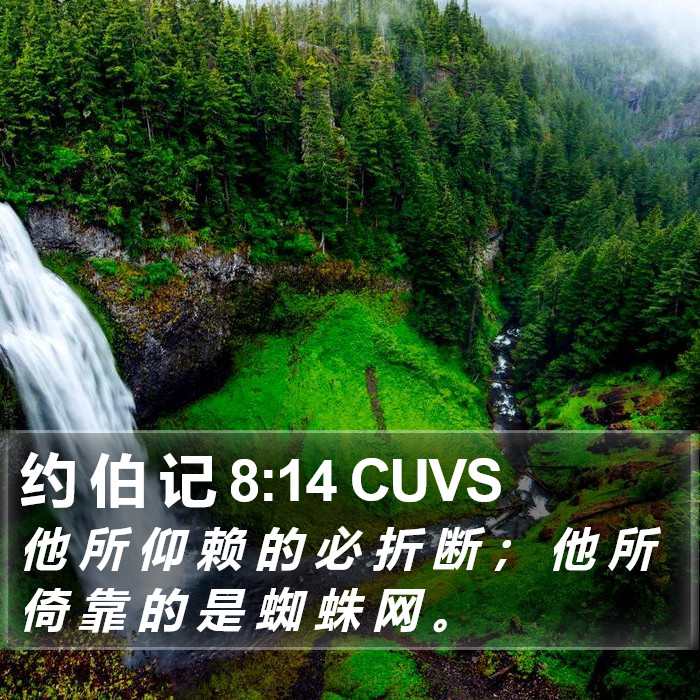 约 伯 记 8:14 CUVS Bible Study