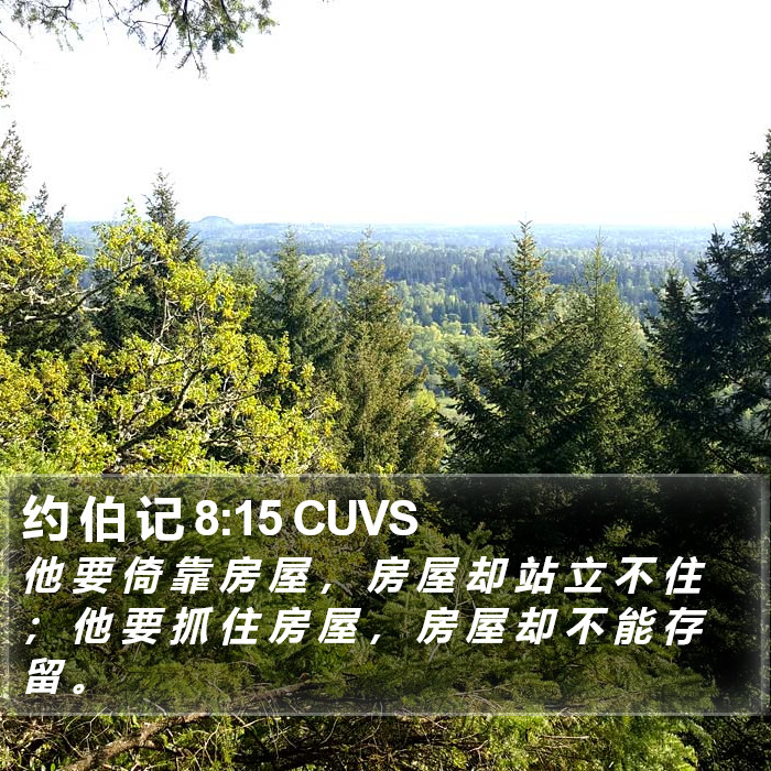 约 伯 记 8:15 CUVS Bible Study
