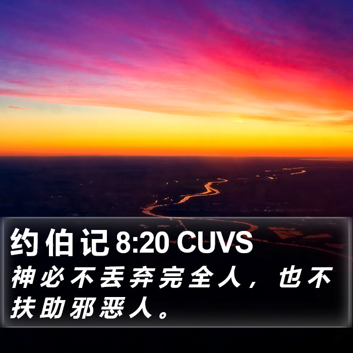 约 伯 记 8:20 CUVS Bible Study
