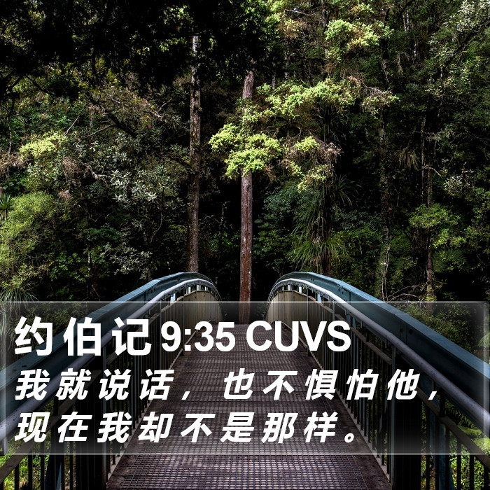 约 伯 记 9:35 CUVS Bible Study