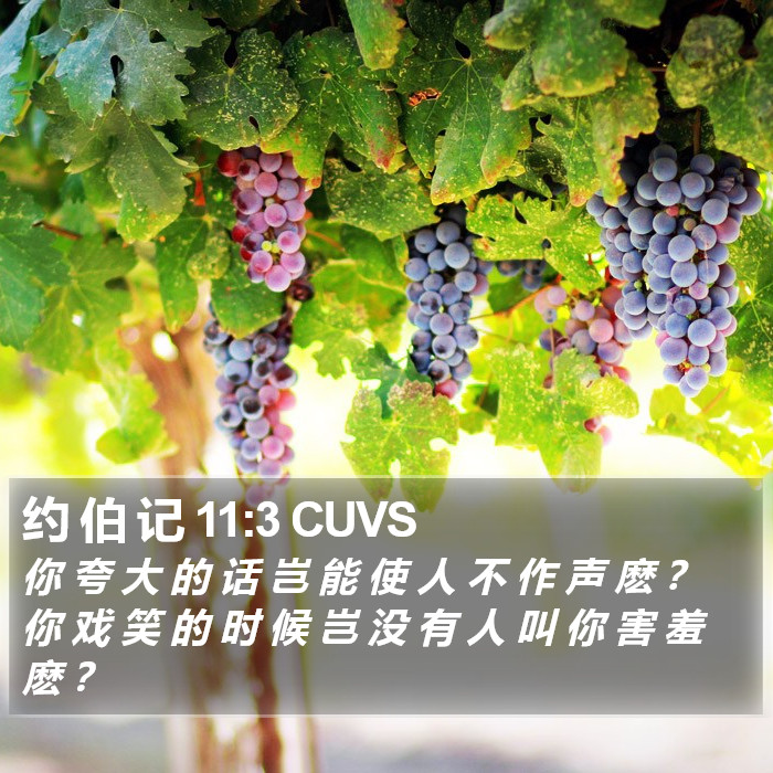 约 伯 记 11:3 CUVS Bible Study