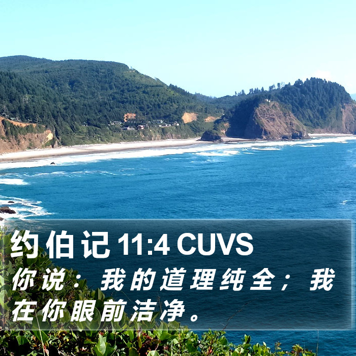约 伯 记 11:4 CUVS Bible Study