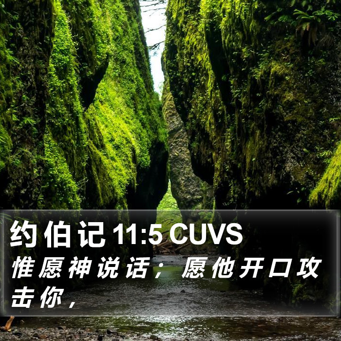 约 伯 记 11:5 CUVS Bible Study