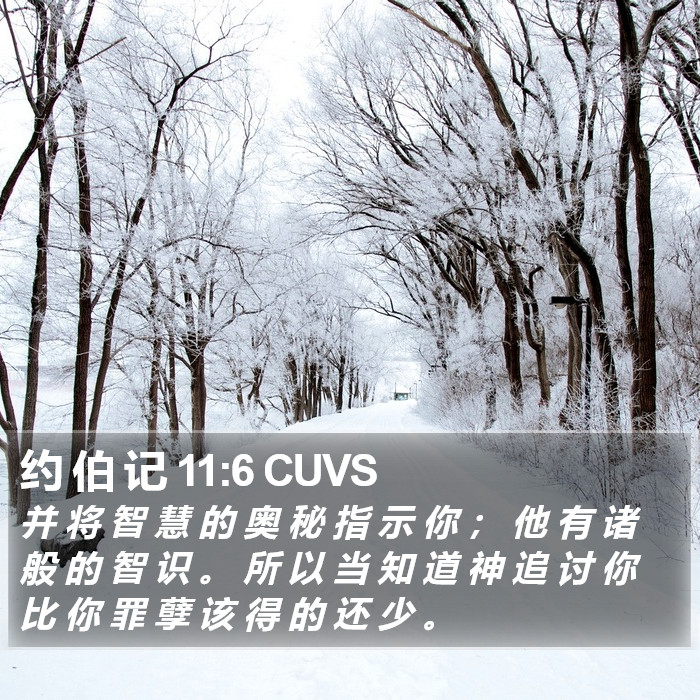约 伯 记 11:6 CUVS Bible Study