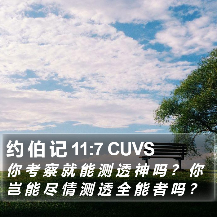 约 伯 记 11:7 CUVS Bible Study