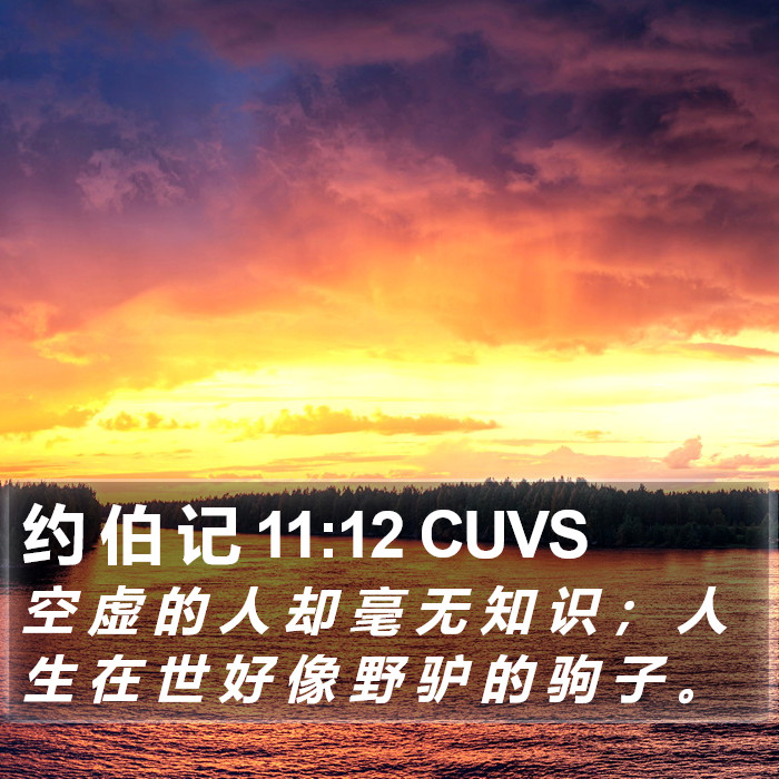 约 伯 记 11:12 CUVS Bible Study