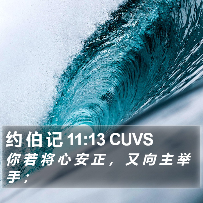 约 伯 记 11:13 CUVS Bible Study