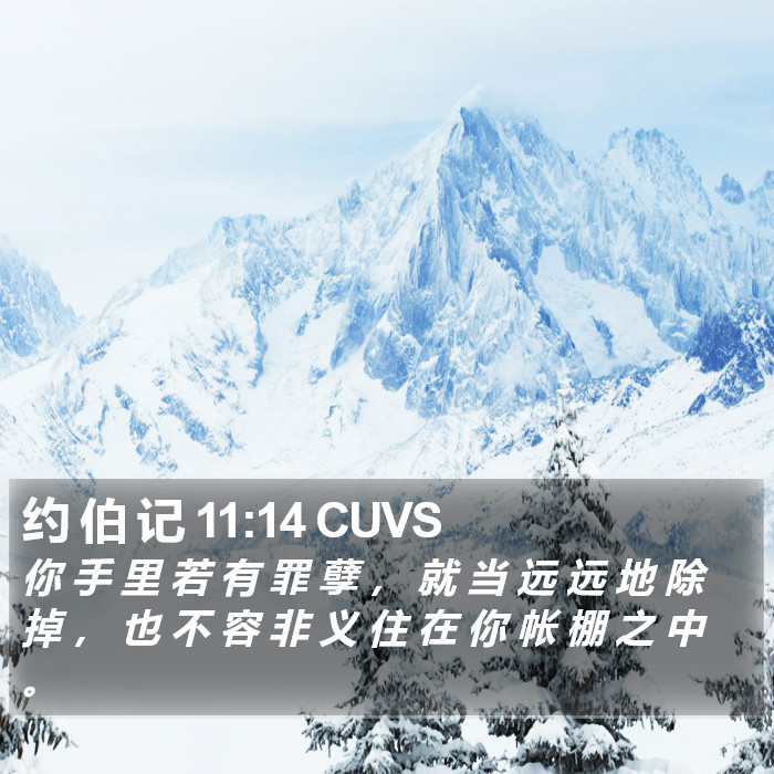 约 伯 记 11:14 CUVS Bible Study