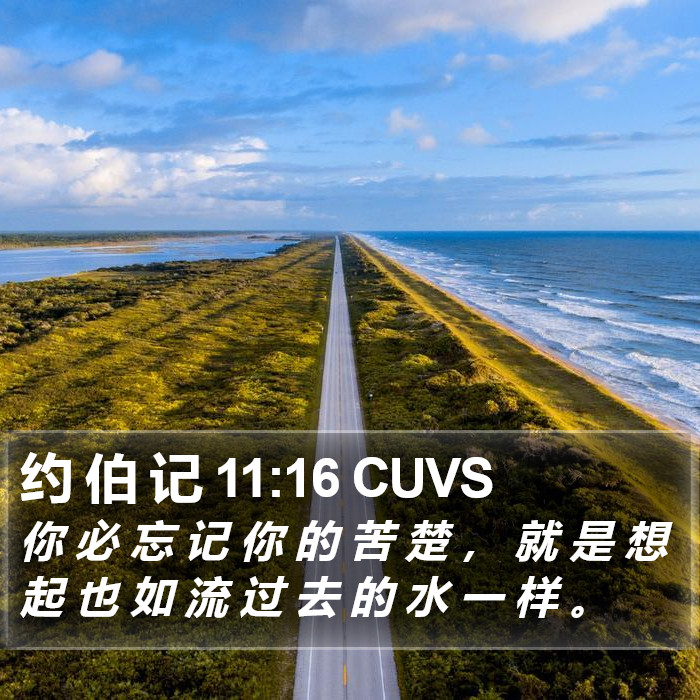 约 伯 记 11:16 CUVS Bible Study