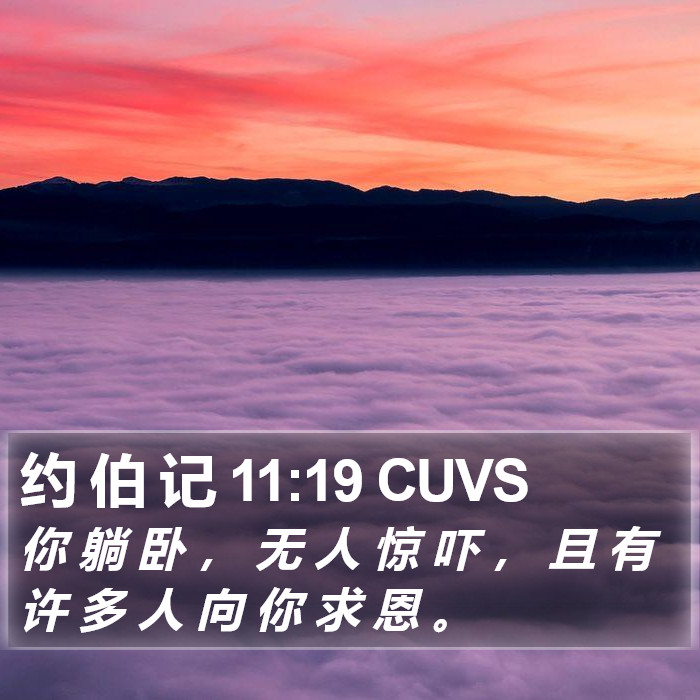 约 伯 记 11:19 CUVS Bible Study
