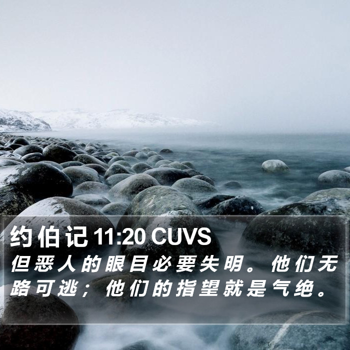 约 伯 记 11:20 CUVS Bible Study