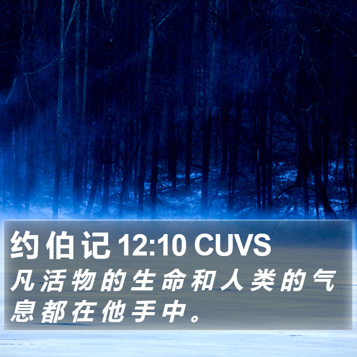 约 伯 记 12:10 CUVS Bible Study