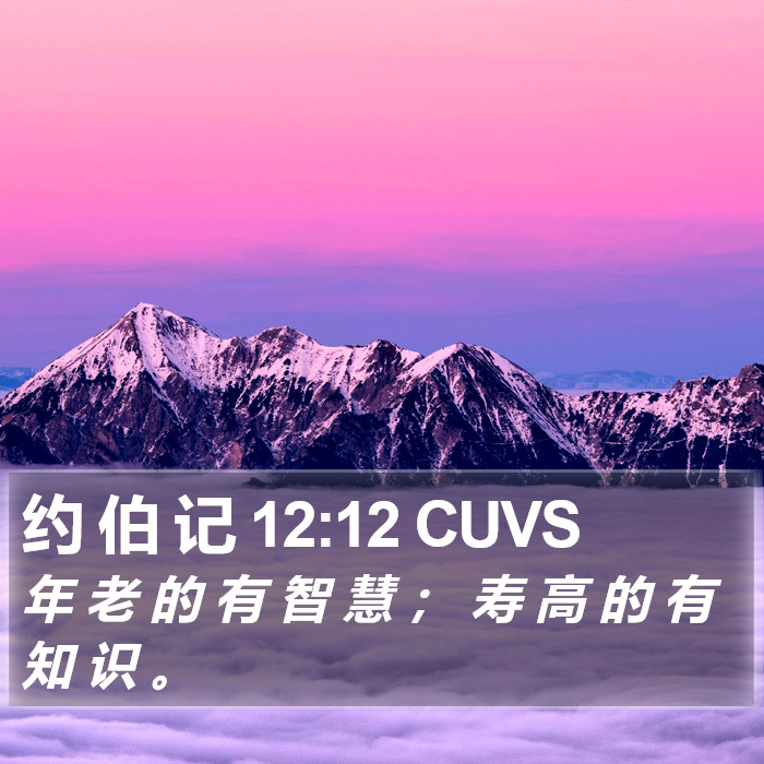 约 伯 记 12:12 CUVS Bible Study