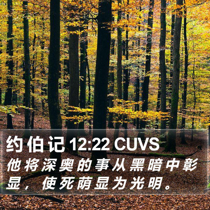 约 伯 记 12:22 CUVS Bible Study