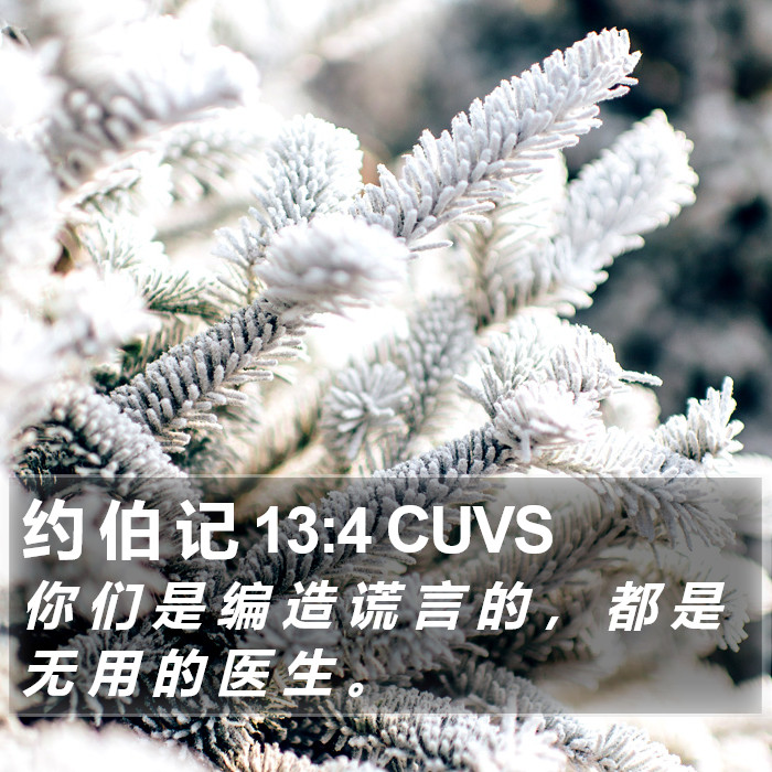 约 伯 记 13:4 CUVS Bible Study