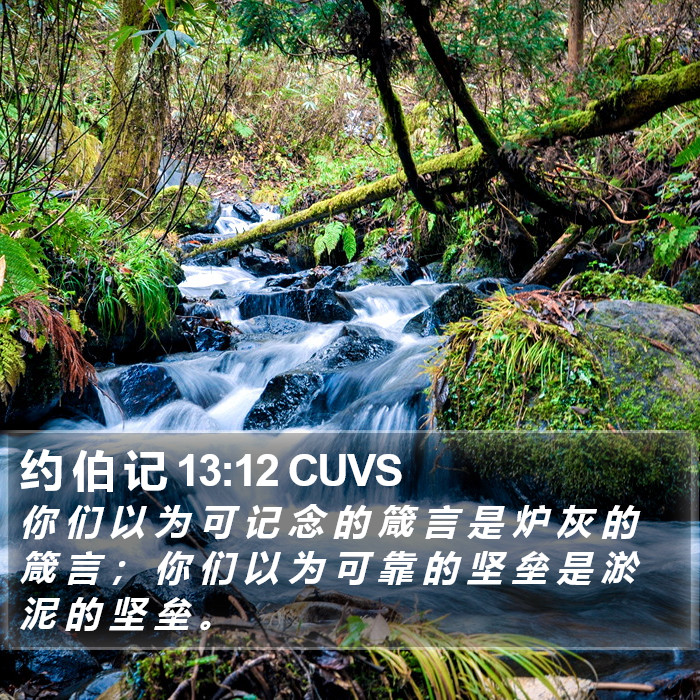 约 伯 记 13:12 CUVS Bible Study