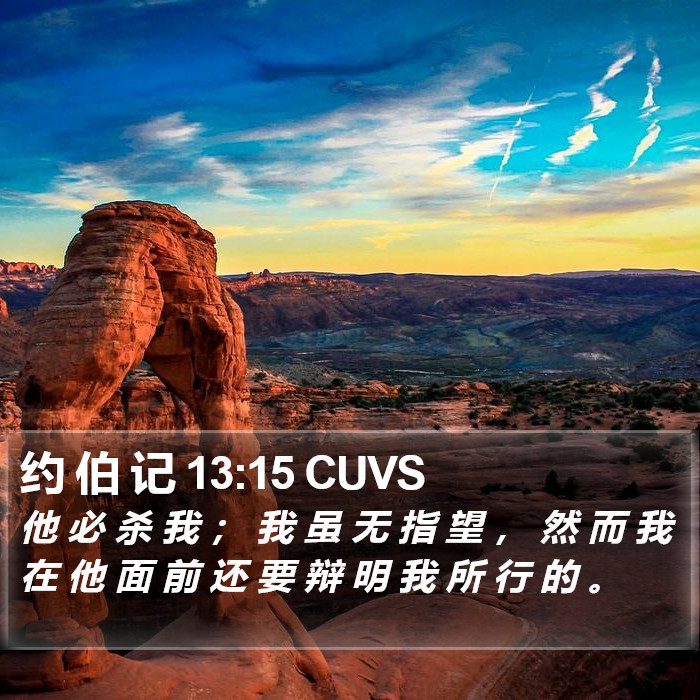 约 伯 记 13:15 CUVS Bible Study