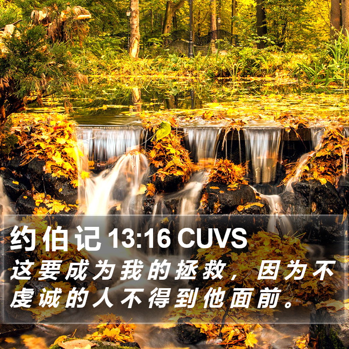 约 伯 记 13:16 CUVS Bible Study