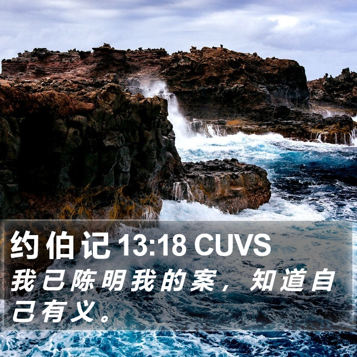 约 伯 记 13:18 CUVS Bible Study