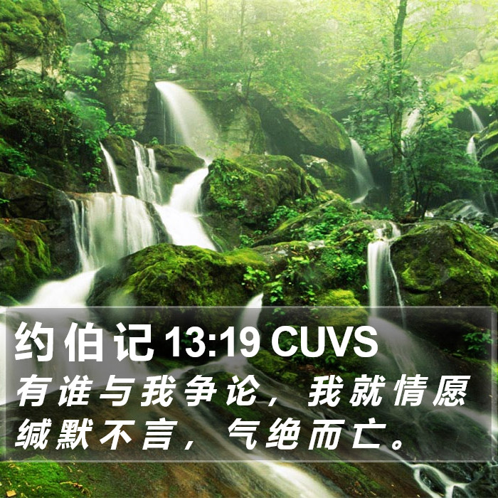 约 伯 记 13:19 CUVS Bible Study
