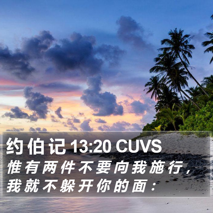 约 伯 记 13:20 CUVS Bible Study