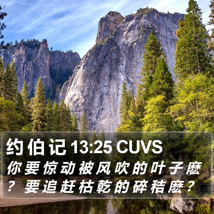 约 伯 记 13:25 CUVS Bible Study
