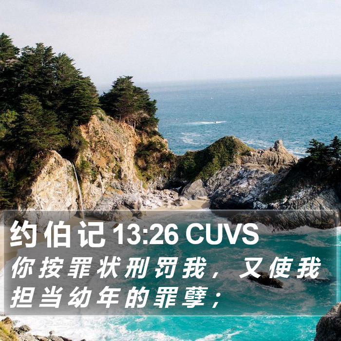 约 伯 记 13:26 CUVS Bible Study