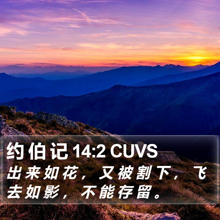 约 伯 记 14:2 CUVS Bible Study