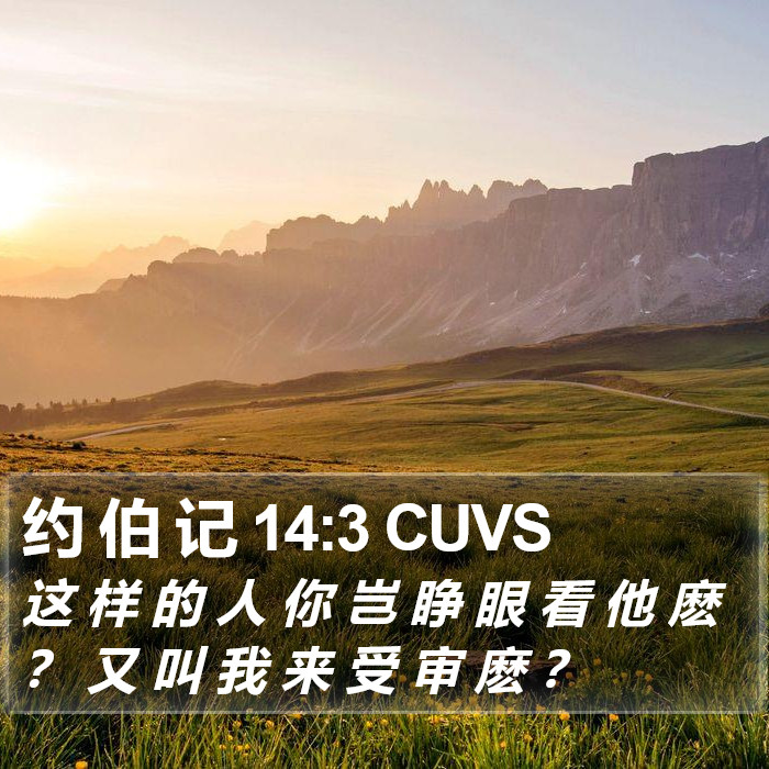 约 伯 记 14:3 CUVS Bible Study