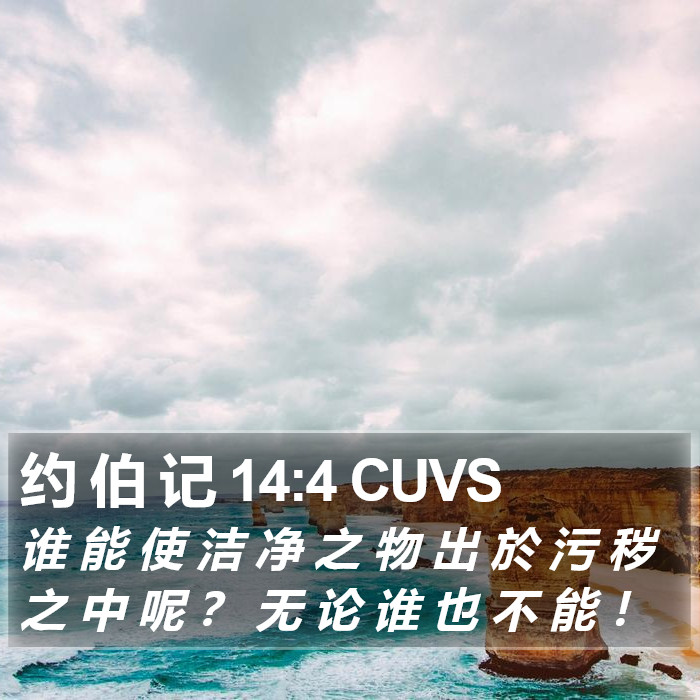 约 伯 记 14:4 CUVS Bible Study