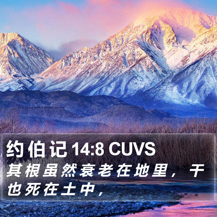 约 伯 记 14:8 CUVS Bible Study
