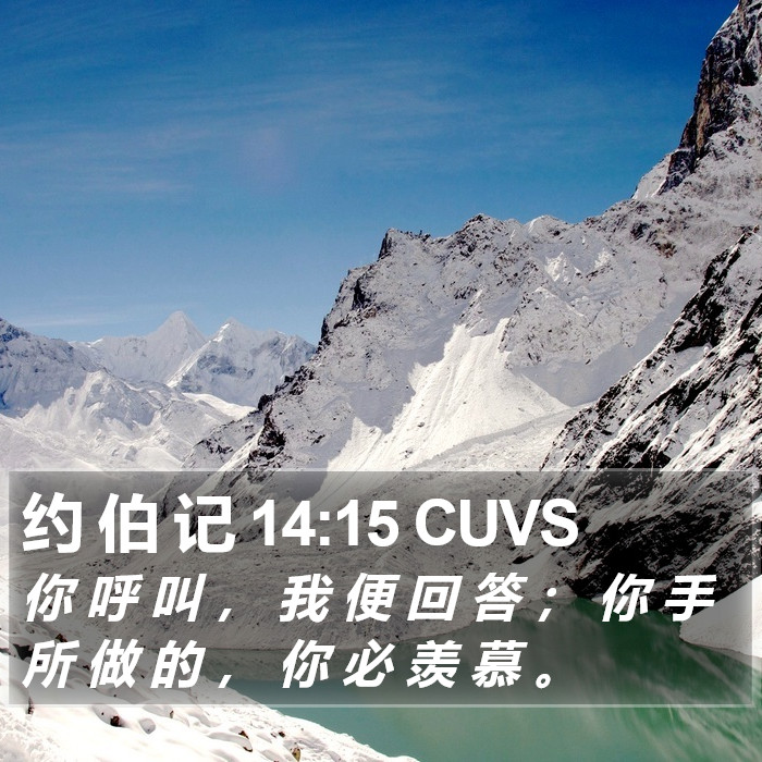 约 伯 记 14:15 CUVS Bible Study