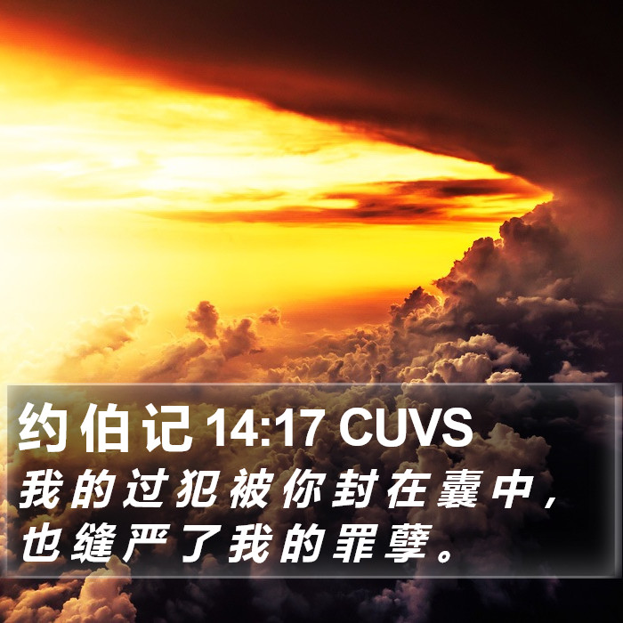 约 伯 记 14:17 CUVS Bible Study