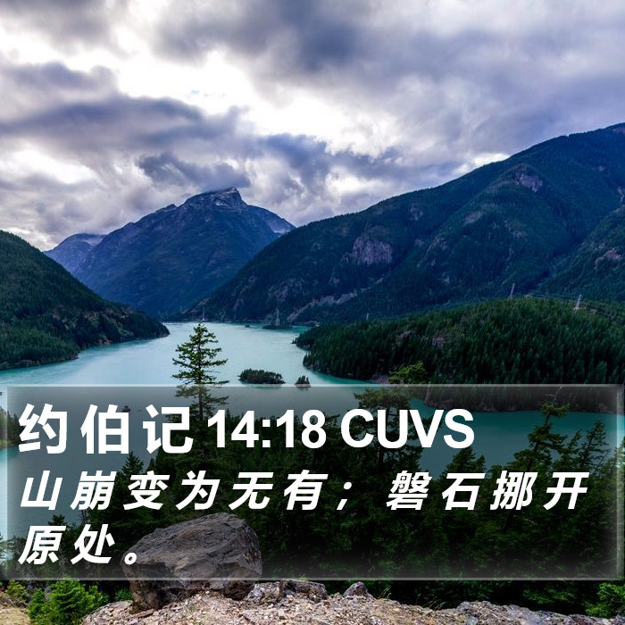 约 伯 记 14:18 CUVS Bible Study