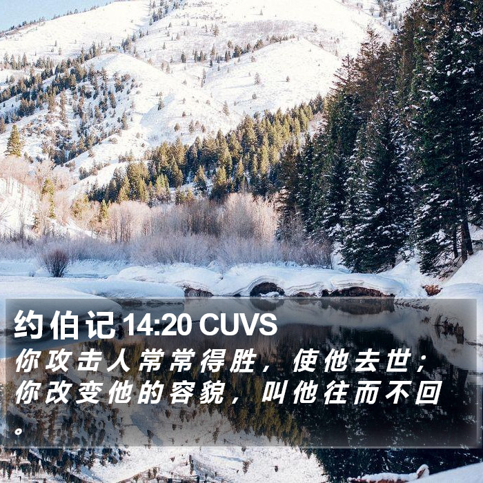 约 伯 记 14:20 CUVS Bible Study