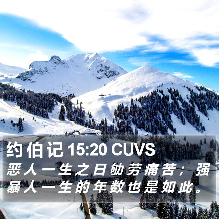 约 伯 记 15:20 CUVS Bible Study
