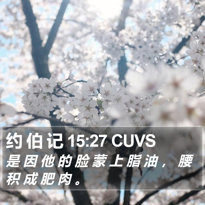 约 伯 记 15:27 CUVS Bible Study